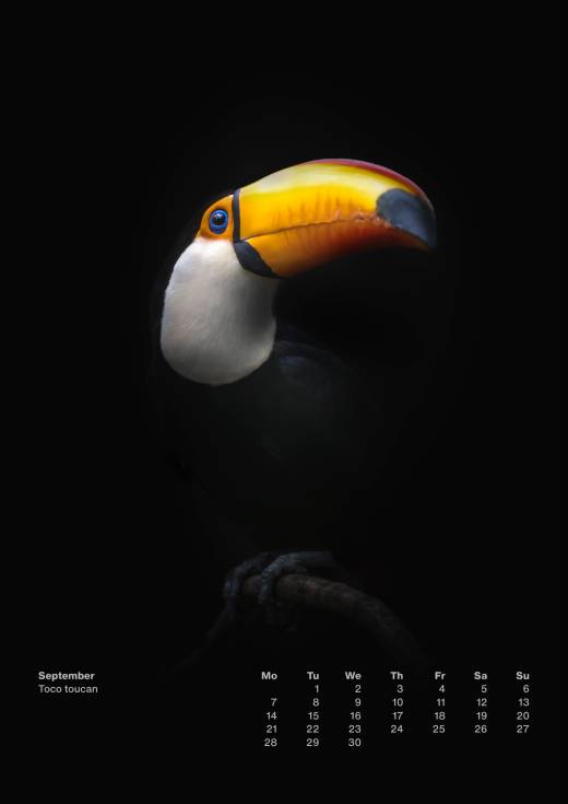 'Animal Calendar 2026 (A3)' by Pascal Maranus