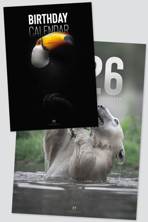 '2026 A3 + Birthday Calendar bundle' by Pascal Maranus