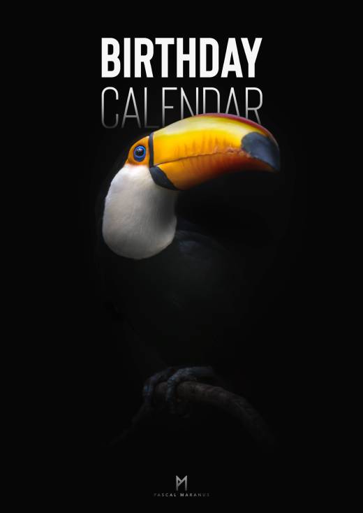 '2026 A3 + Birthday Calendar bundle' by Pascal Maranus