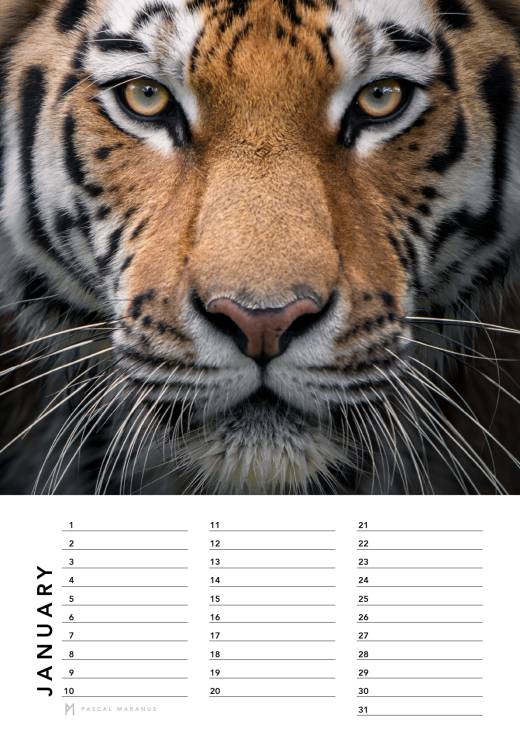 'Birthday Calendar 2026 (A4)' by Pascal Maranus