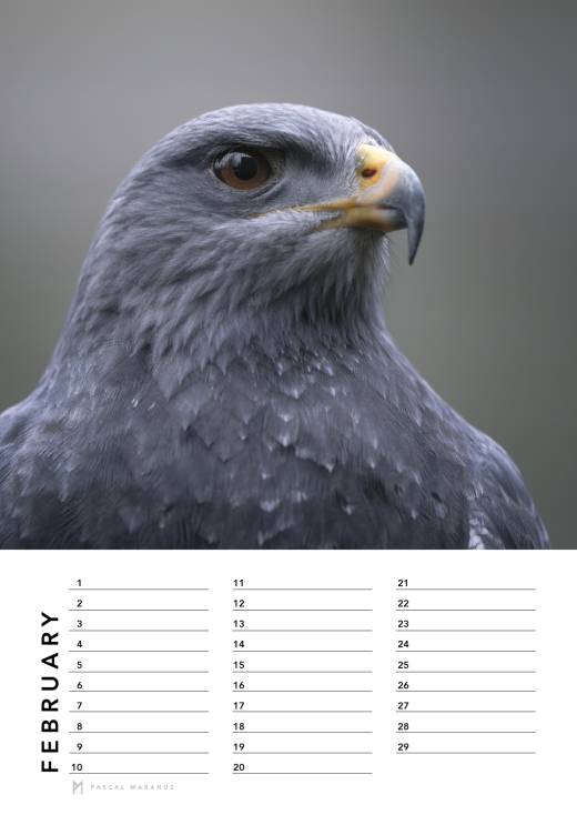 'Birthday Calendar 2026 (A4)' by Pascal Maranus