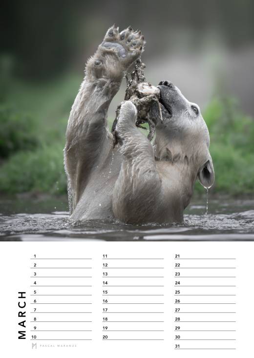 'Birthday Calendar 2026 (A4)' by Pascal Maranus