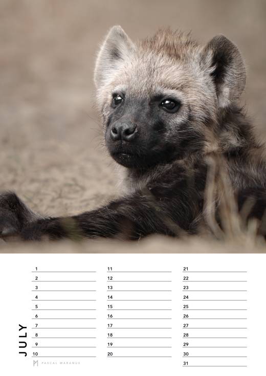 'Birthday Calendar 2026 (A4)' by Pascal Maranus