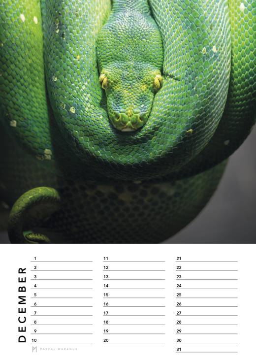 'Birthday Calendar 2026 (A4)' by Pascal Maranus